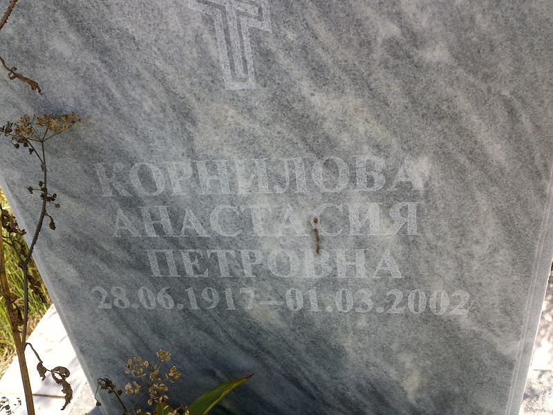 Корнилова Анастасия Петровна