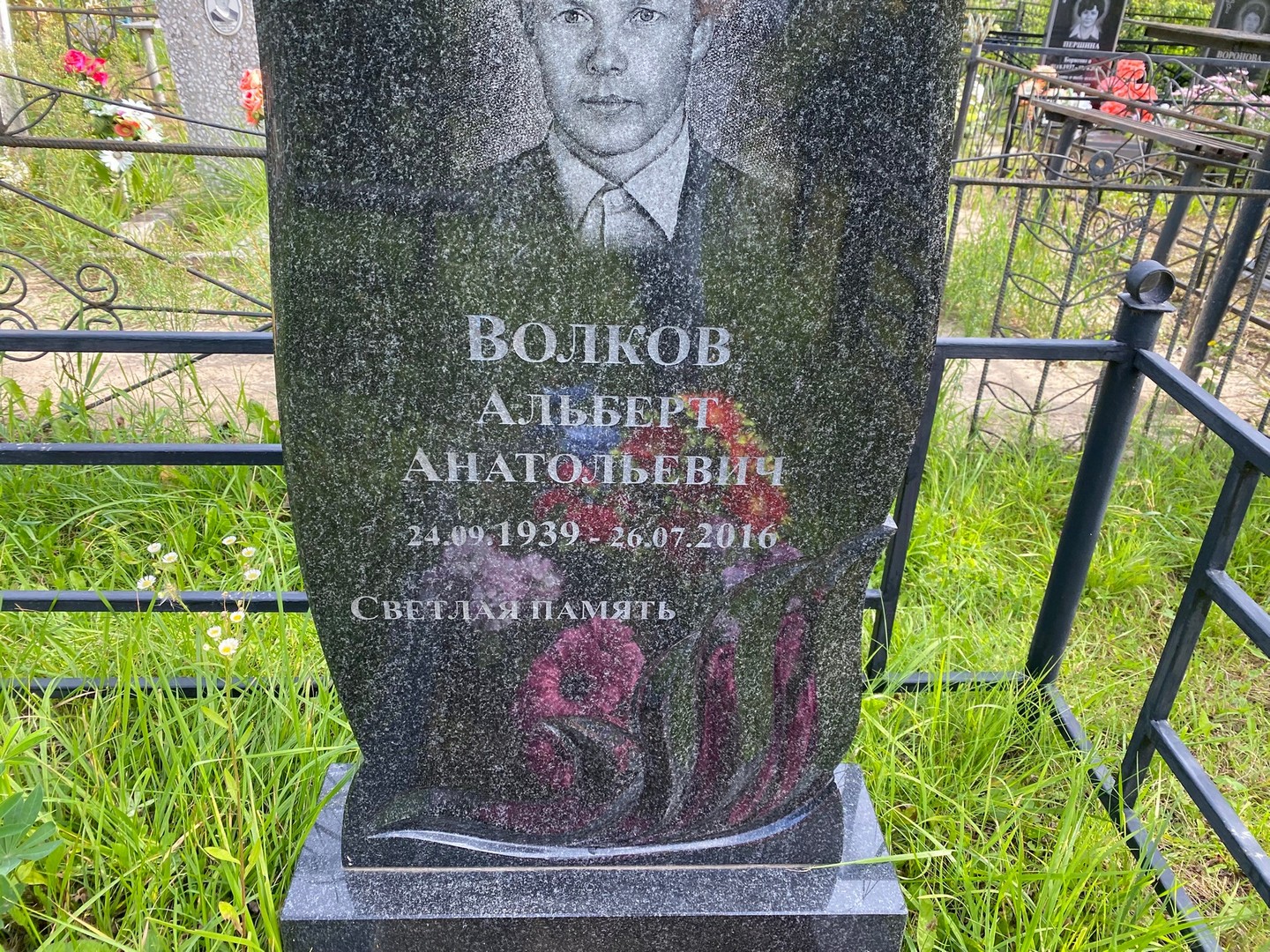 Альберт Волков Анатольевич