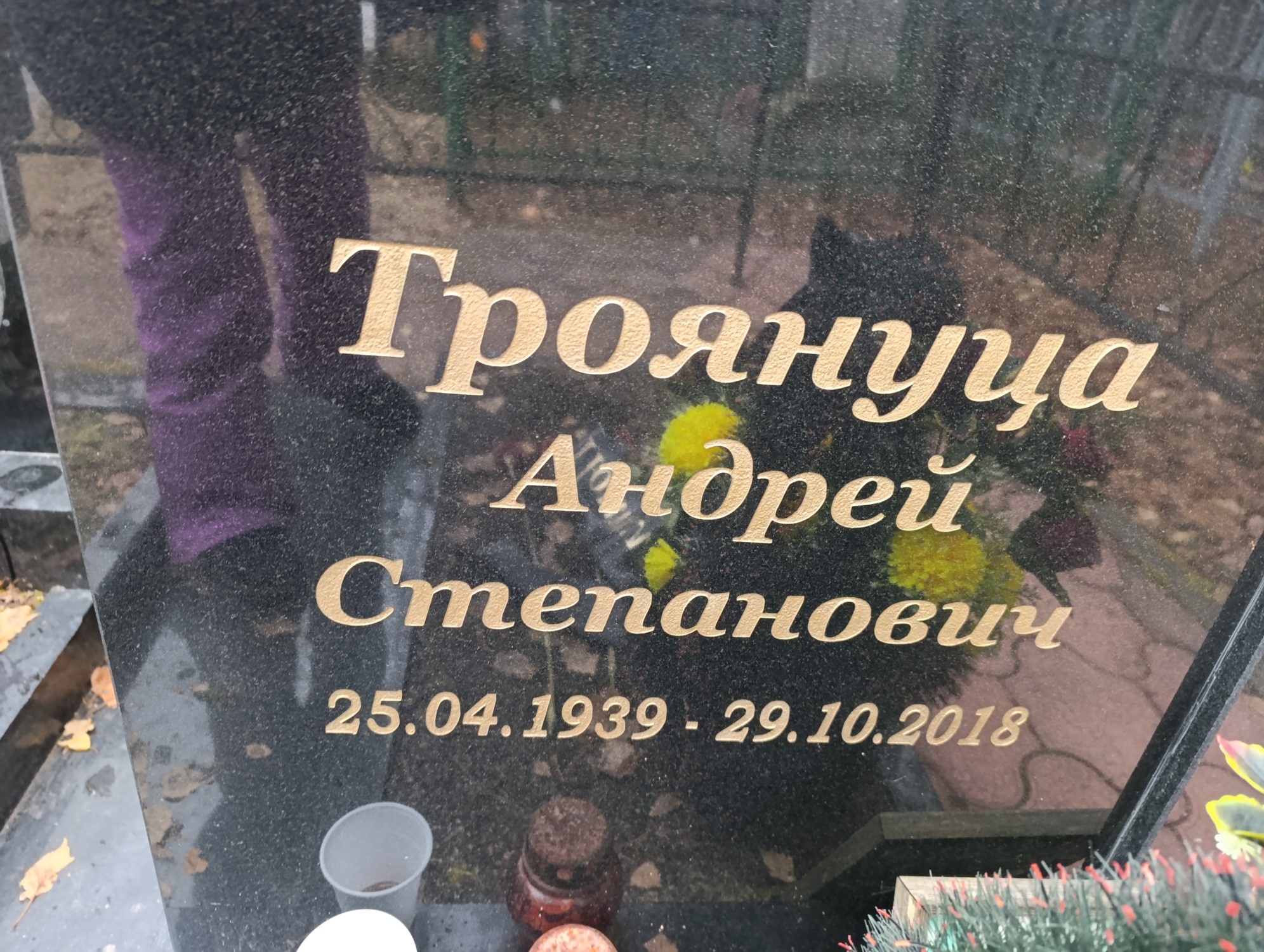 Троянуца Андрей Степанович