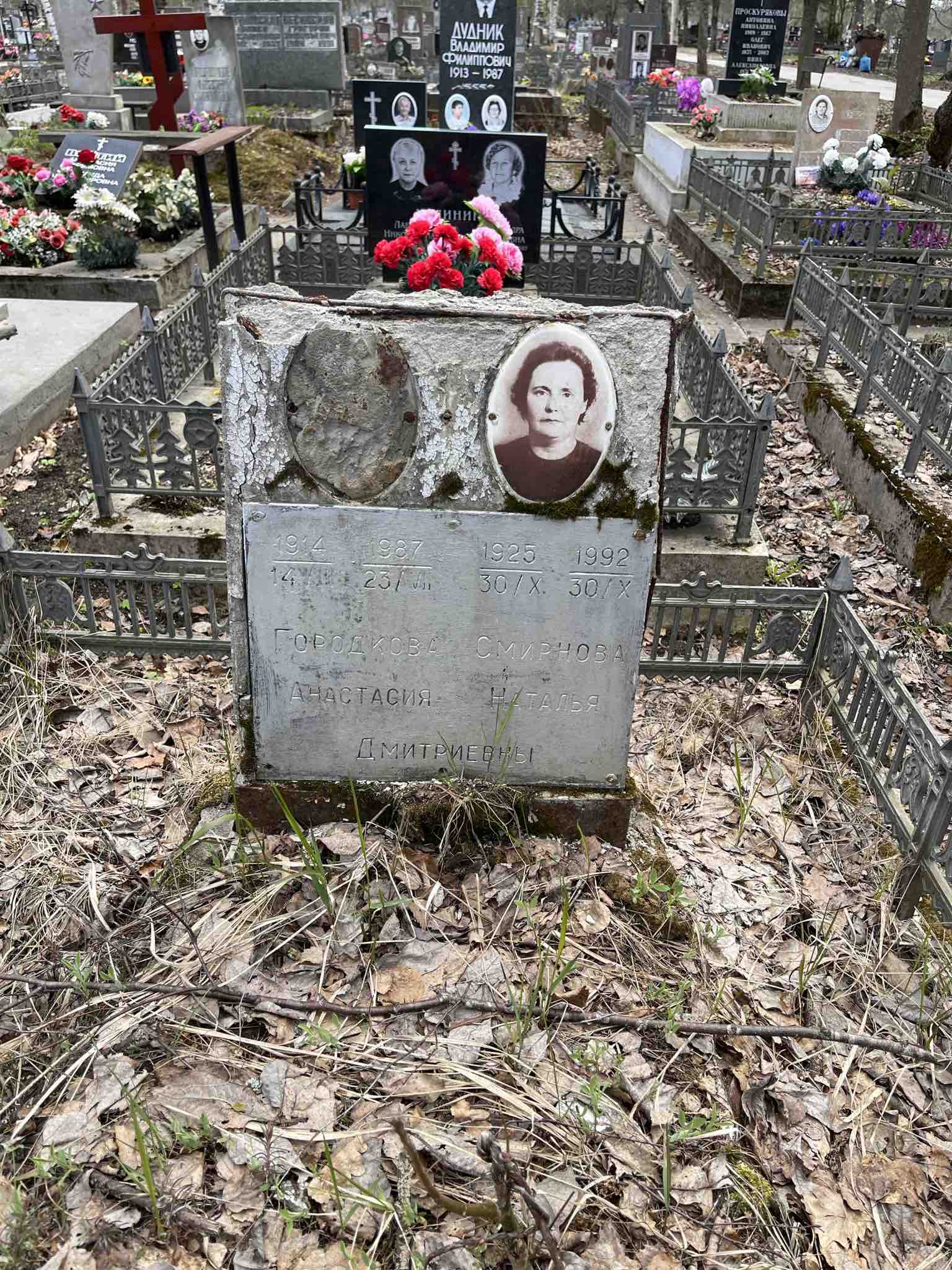 Городкова Анастасия Дмитриевна