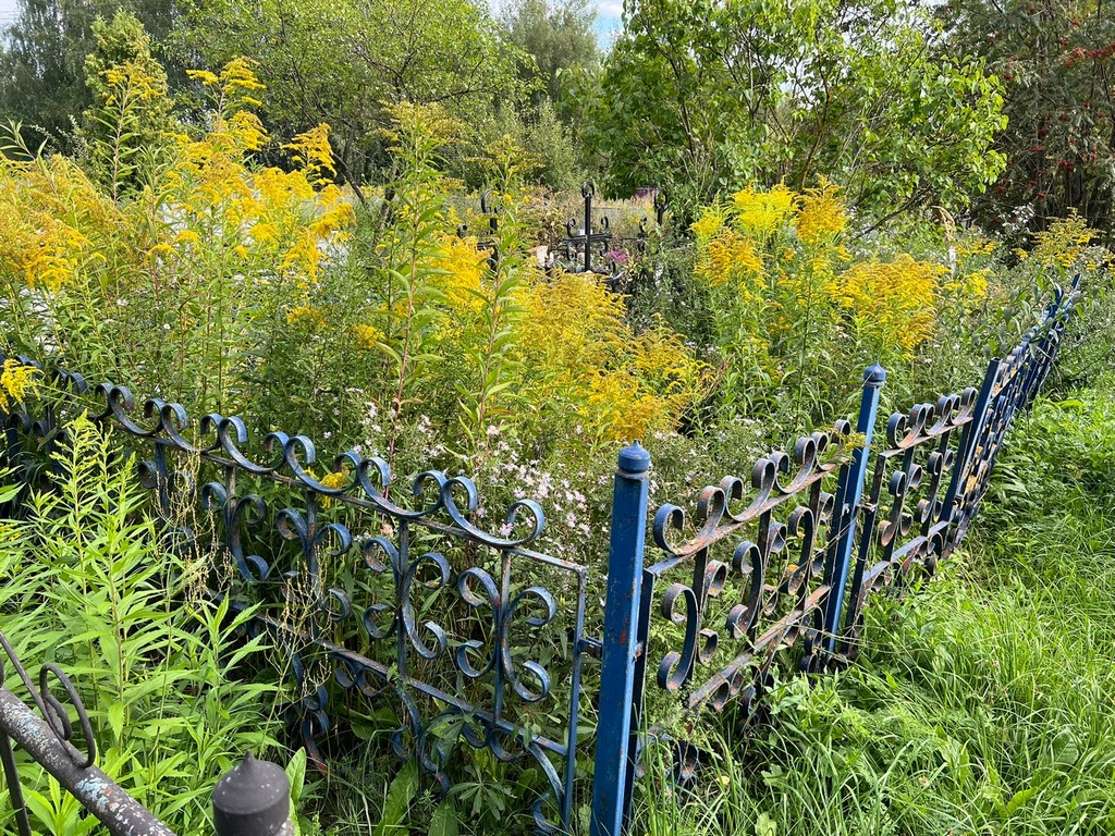 Ларенкова Евгения Григорьевна