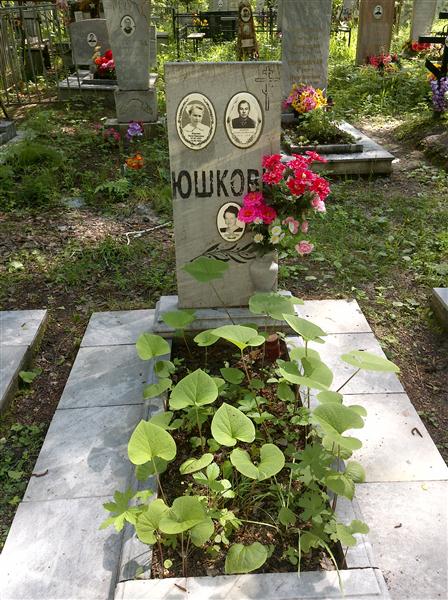 Юшков Анатолий Павлович