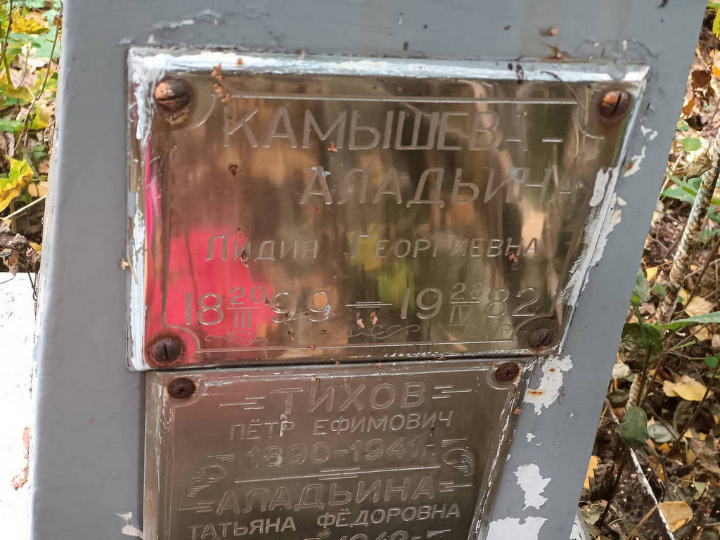 Камышева-Аладьина Лидия Георгиевна