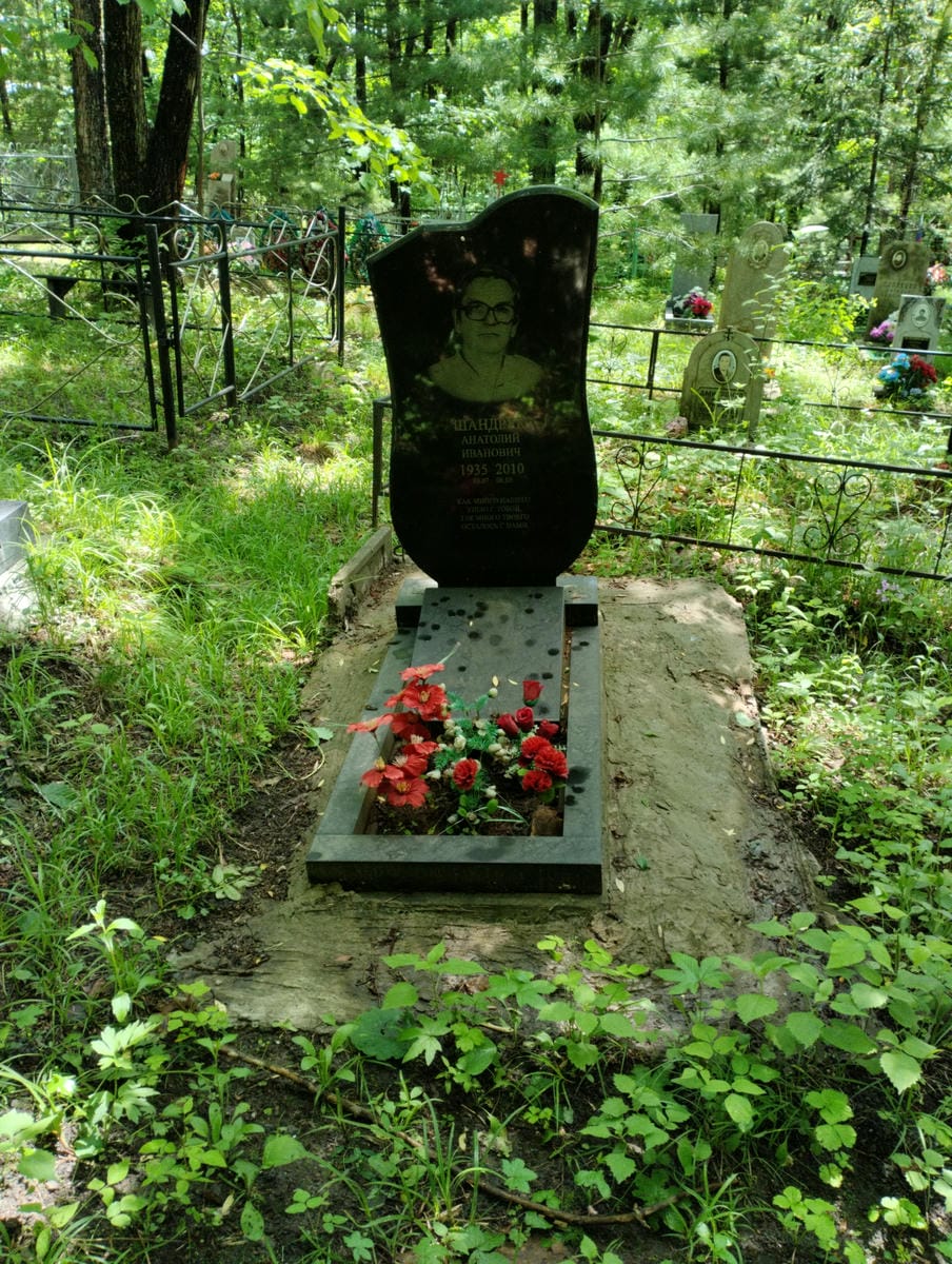Шандрук Анатолий Иванович