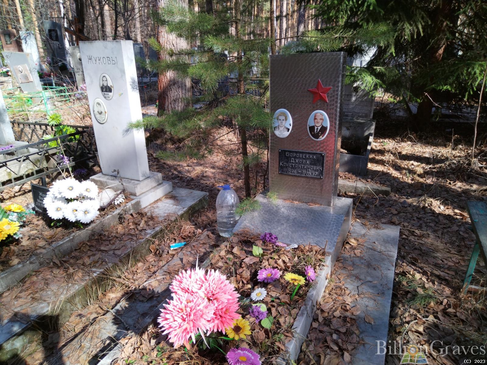 Боровских Анна Михайловна