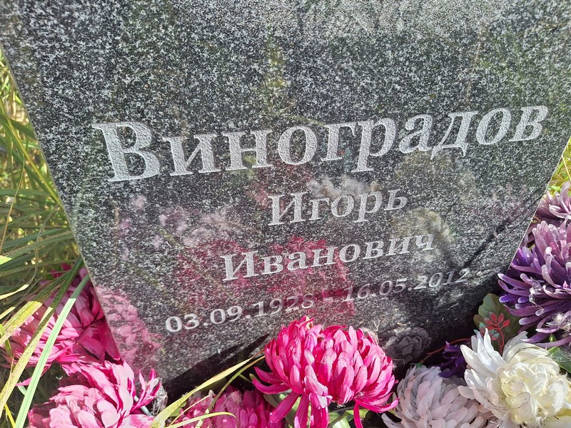 Виноградов