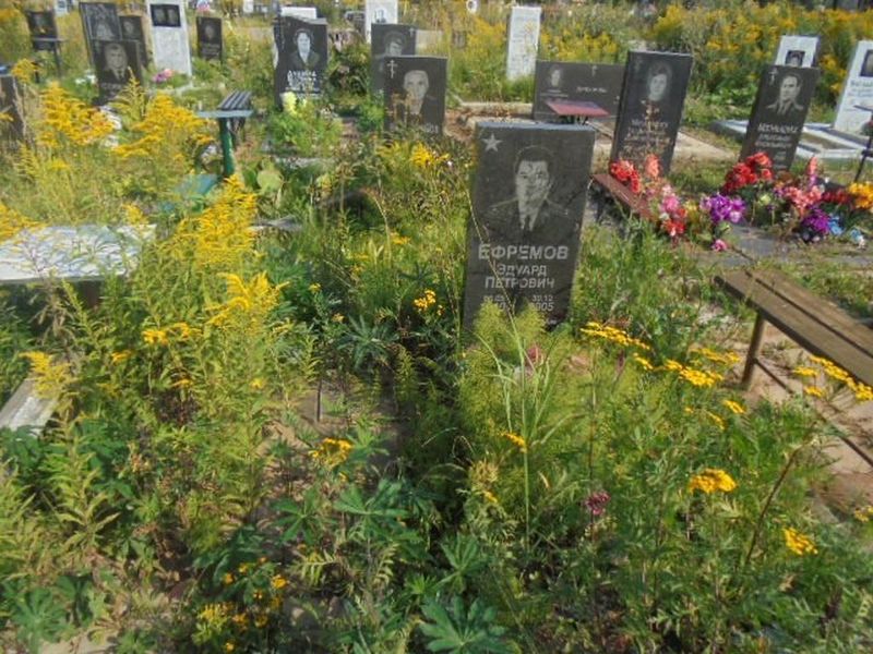 Ефремов Эдуард Петрович