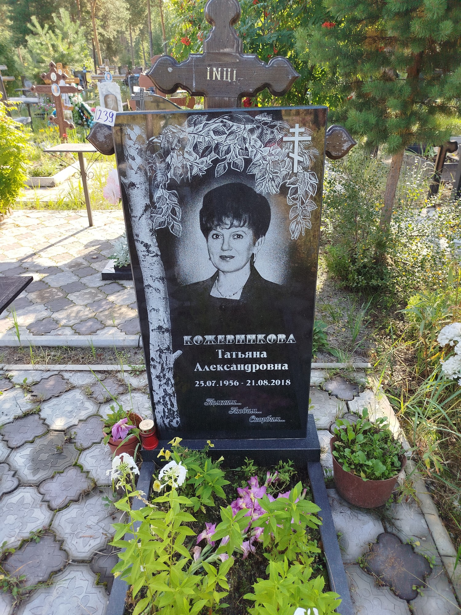 Кожевникова Татьяна Александровна