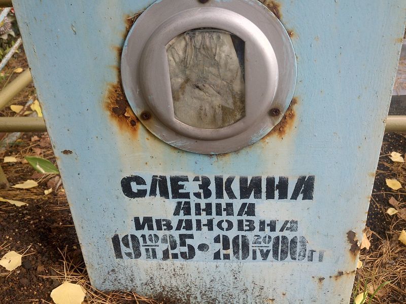 Слезкина