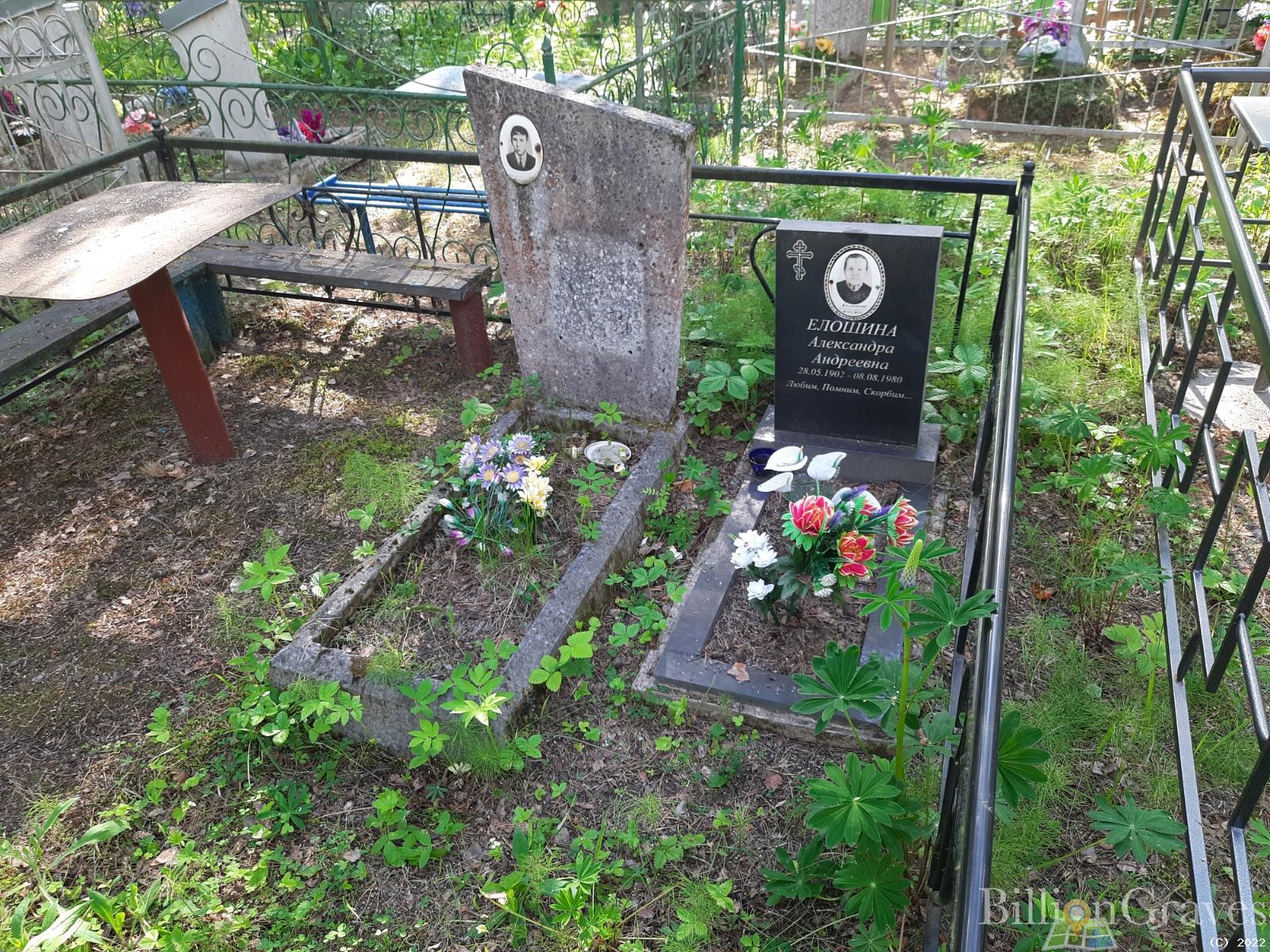 Елошина Александра Андреевна