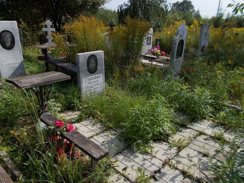 Гуревич Виктор Залманович