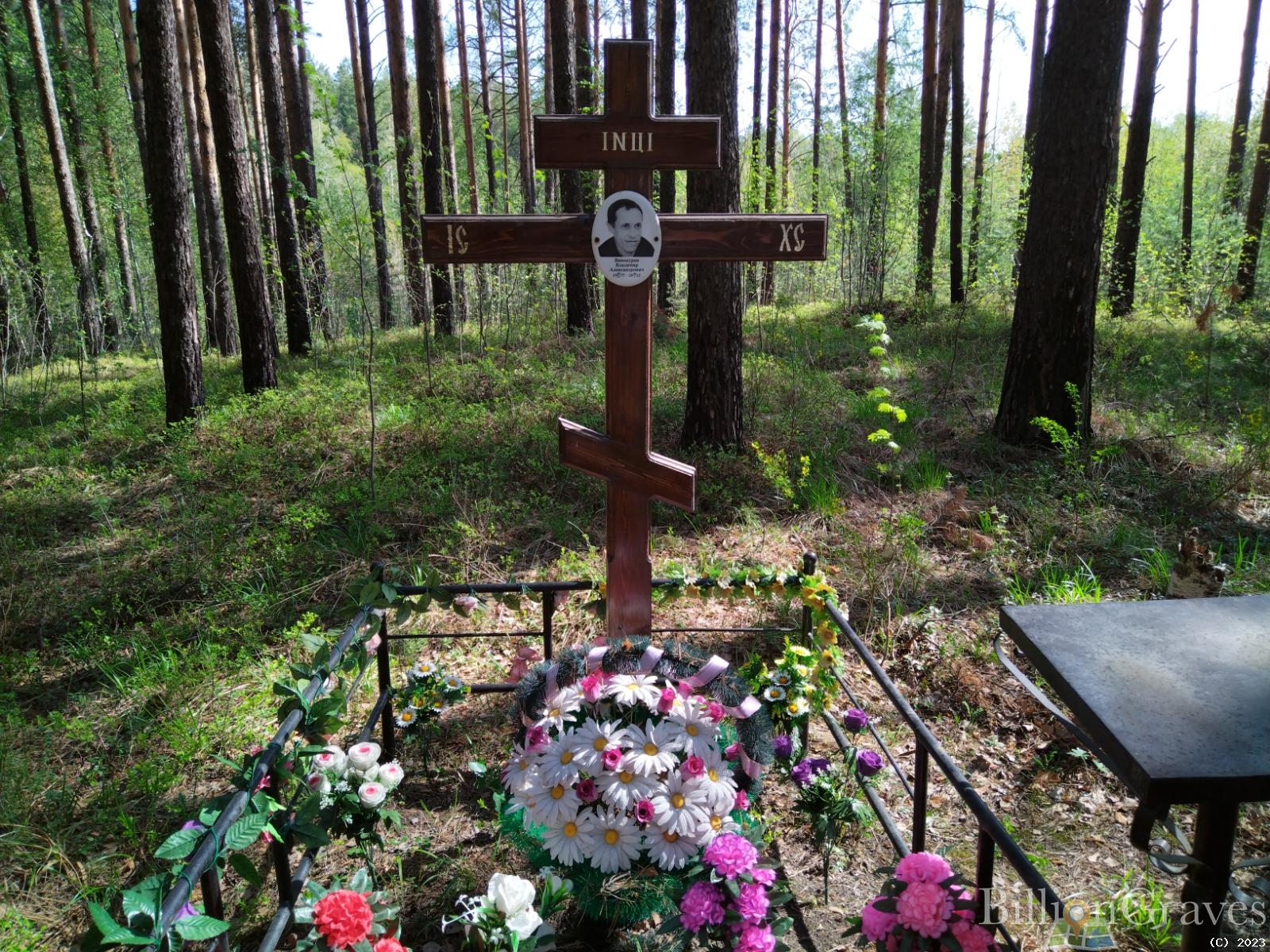 Винокуров Владимир Александрович