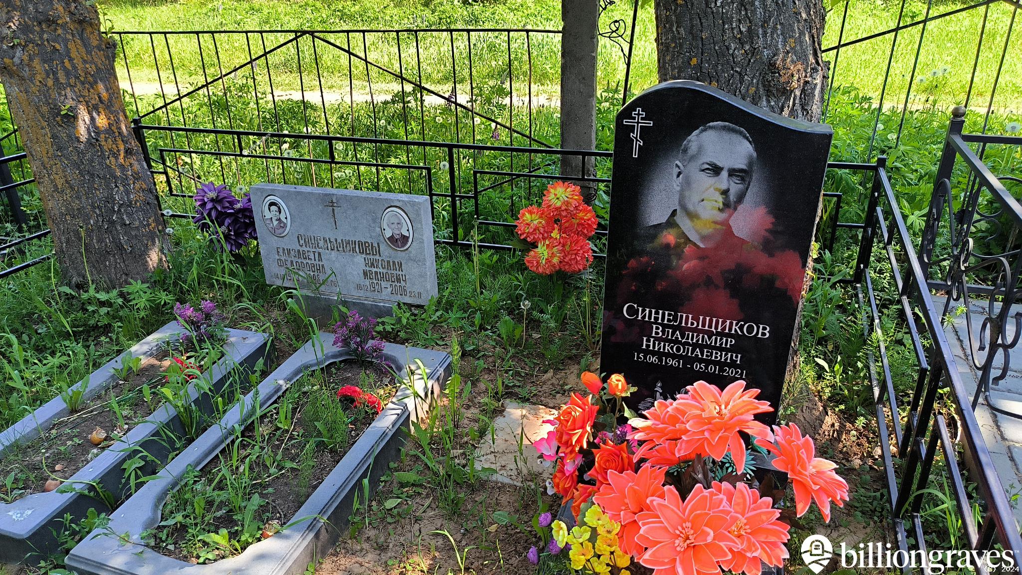 Синельщикова Елизавета Фёдоровна