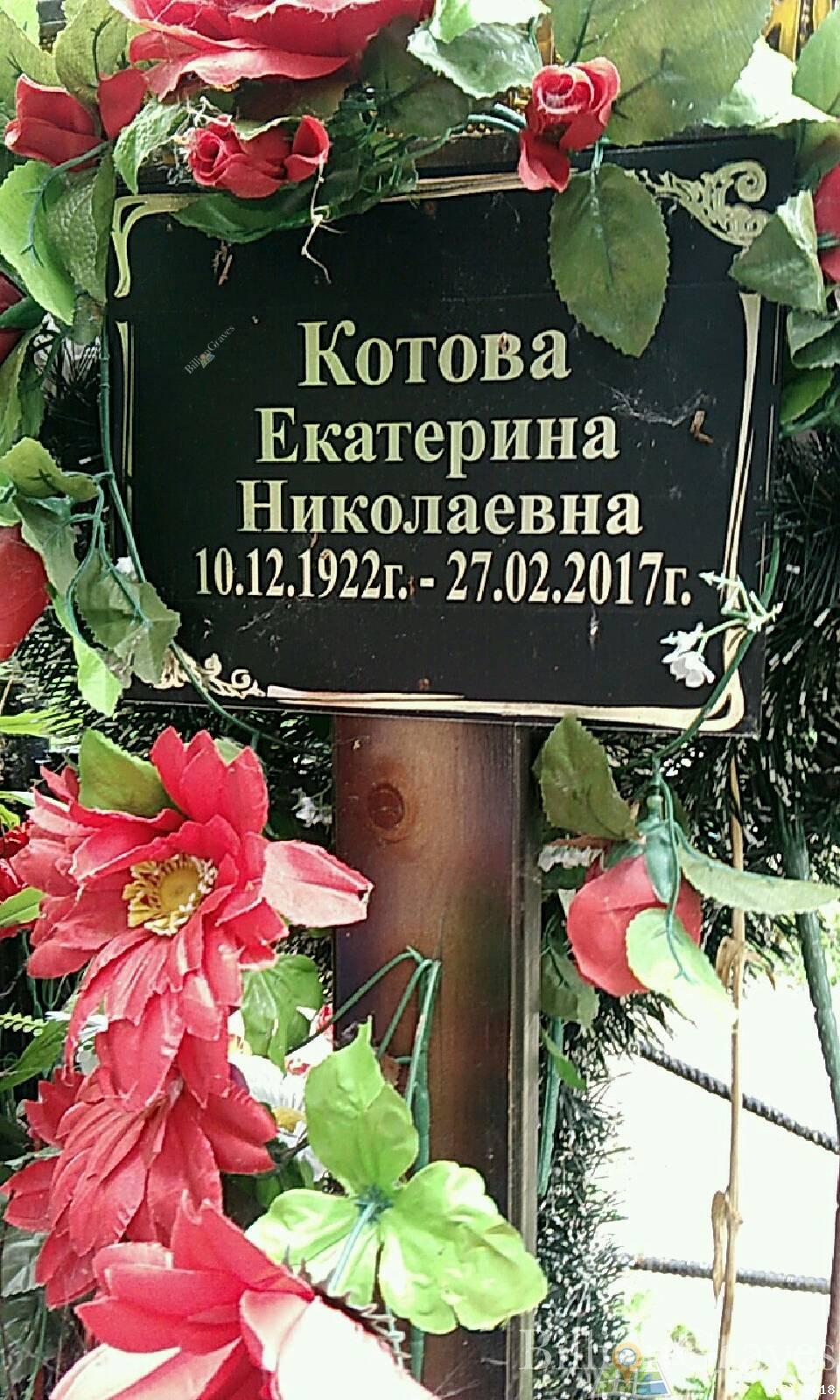 котова екатерина николаевна