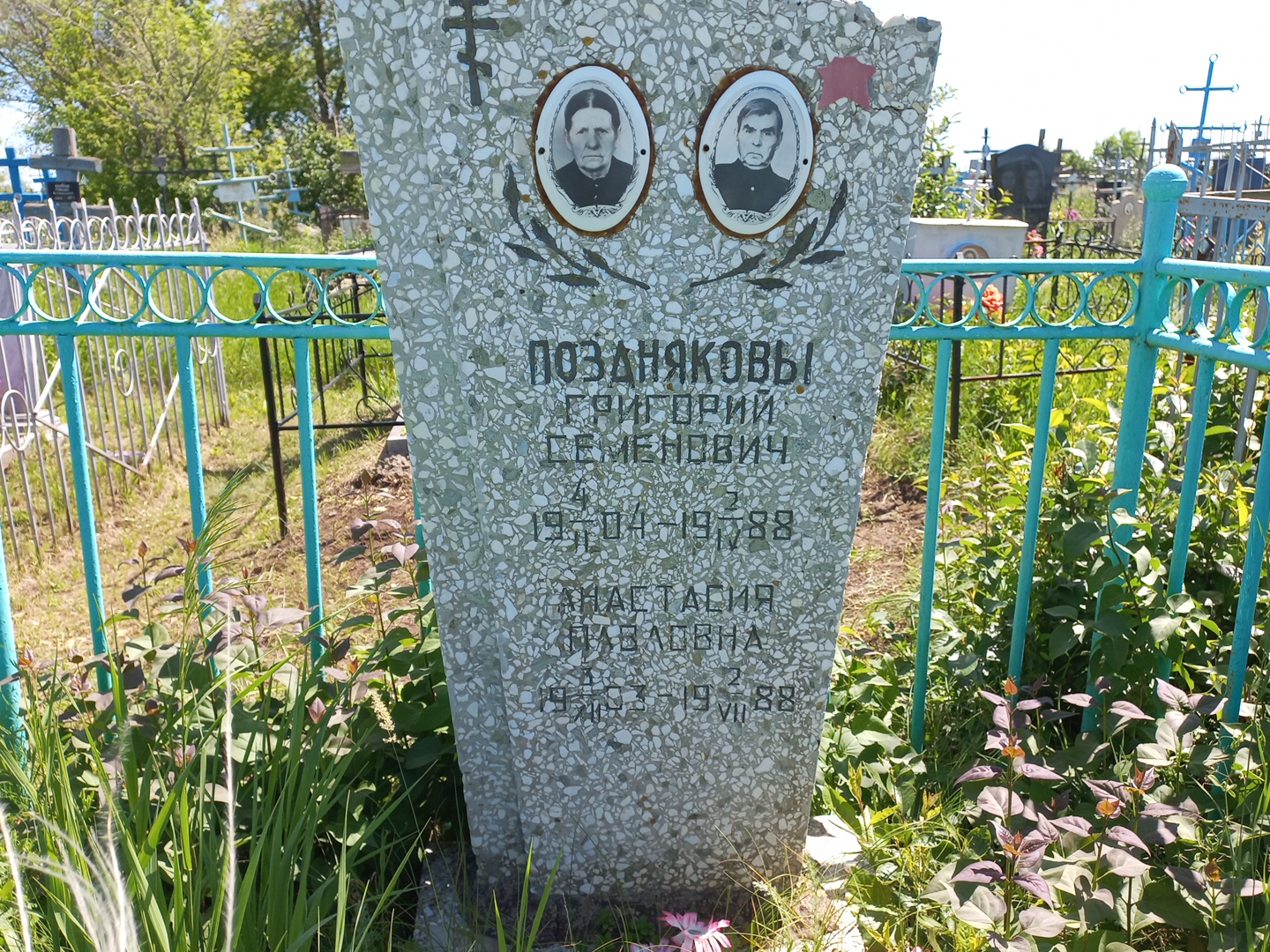 Позднякова Анастасия Павловна