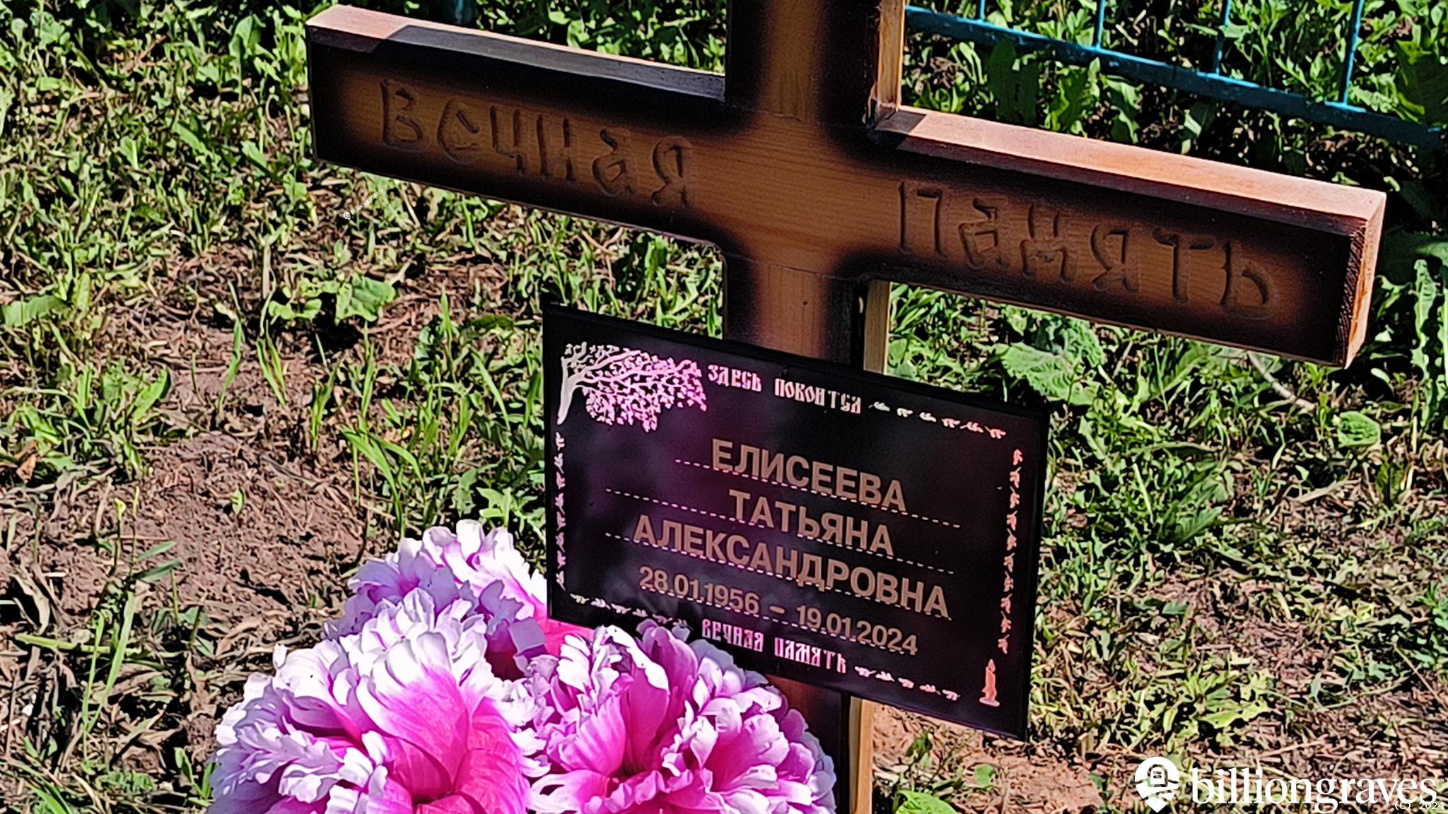 Елисеева Татьяна Александровна