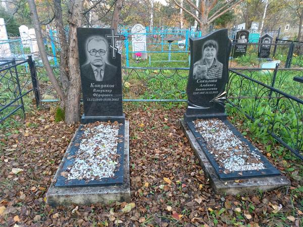 Соколова Альбина Анатольевна