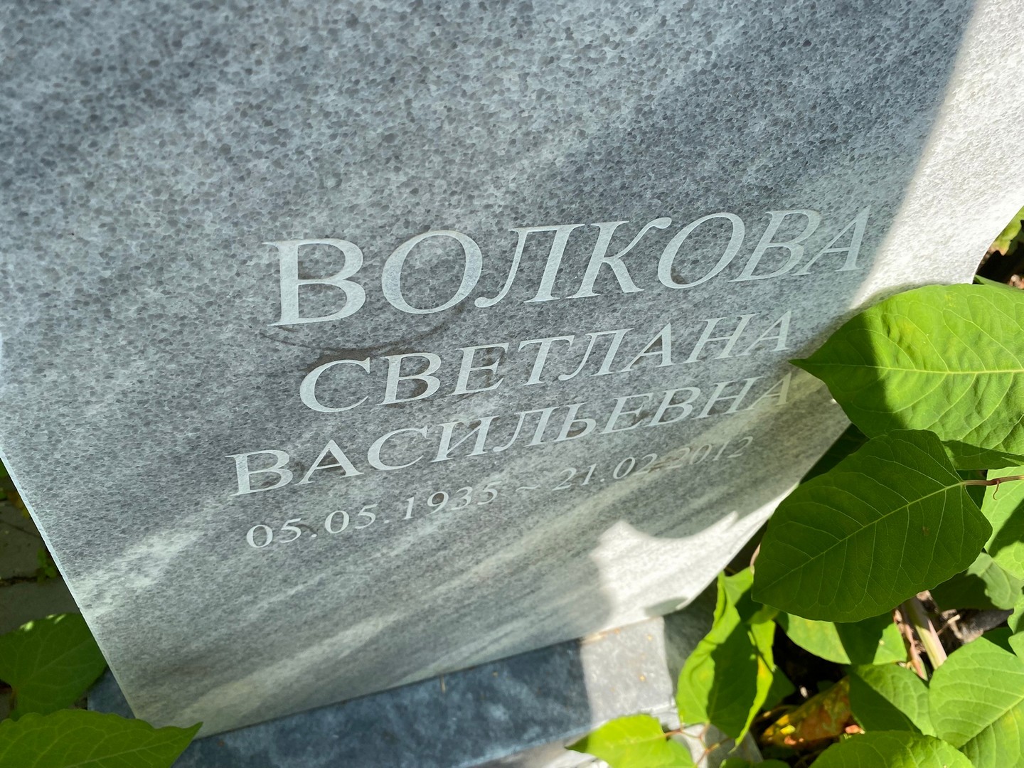 Волкова