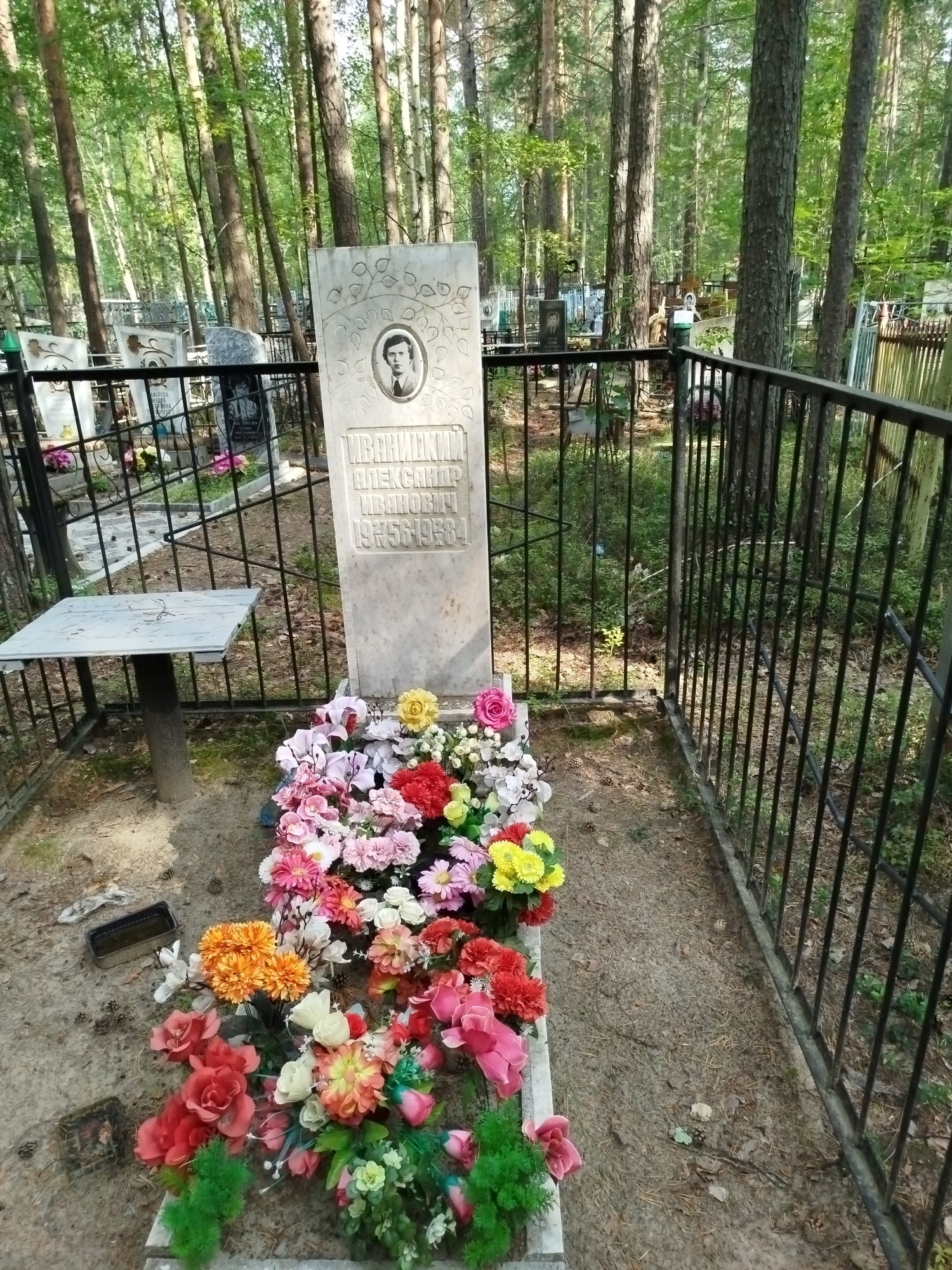 Иваницкий Александр Иванович