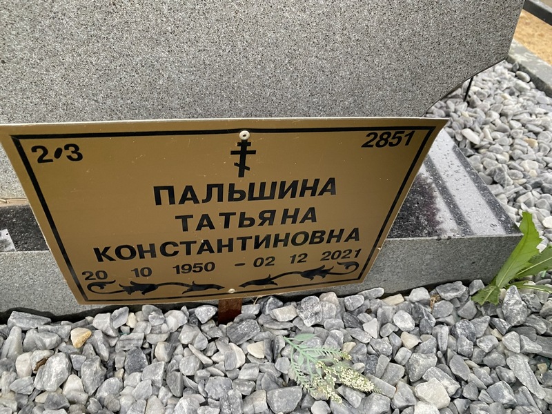 Пальшина