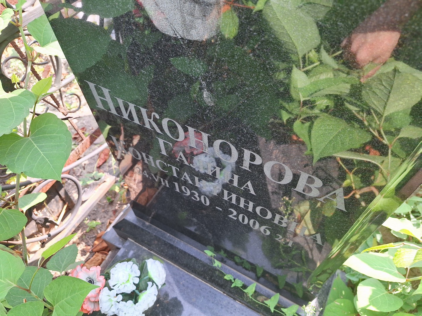 Никонорова
