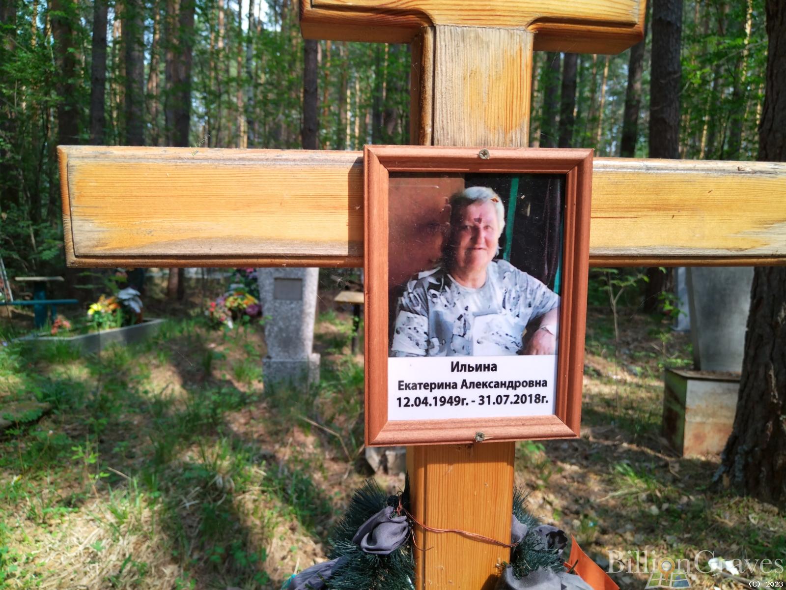Ильина Екатерина Александровна