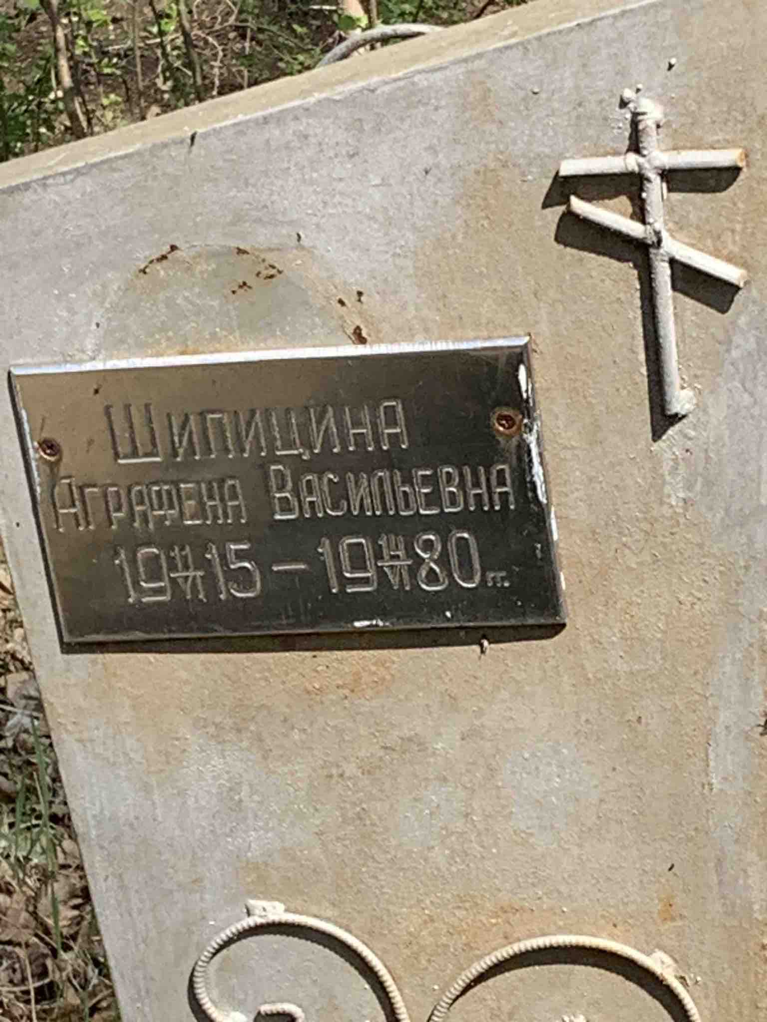 Шипицина Аграфена Васильевна