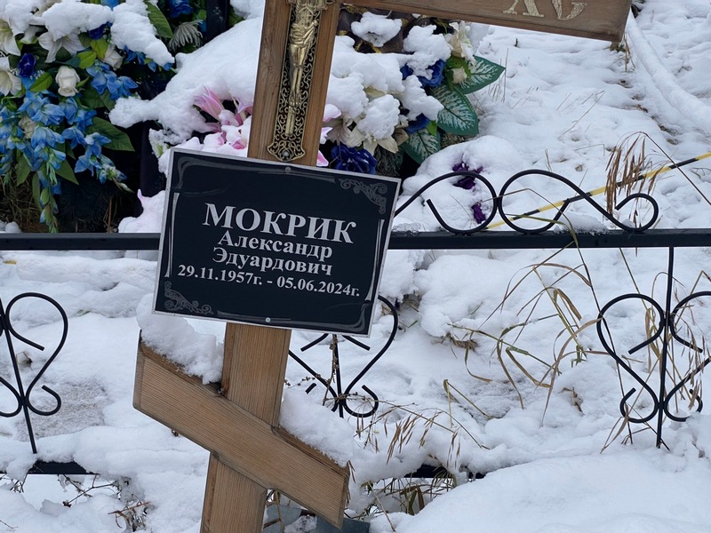 Мокрик