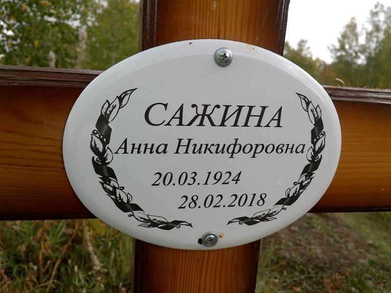 Сажина