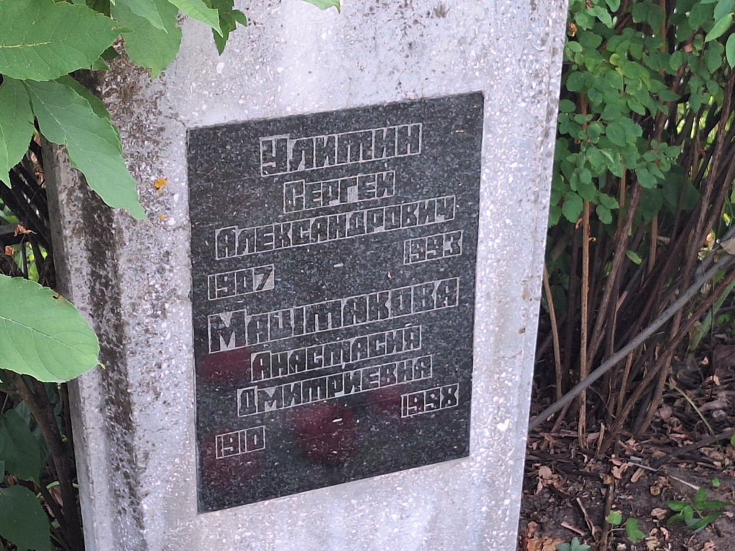 Улитин