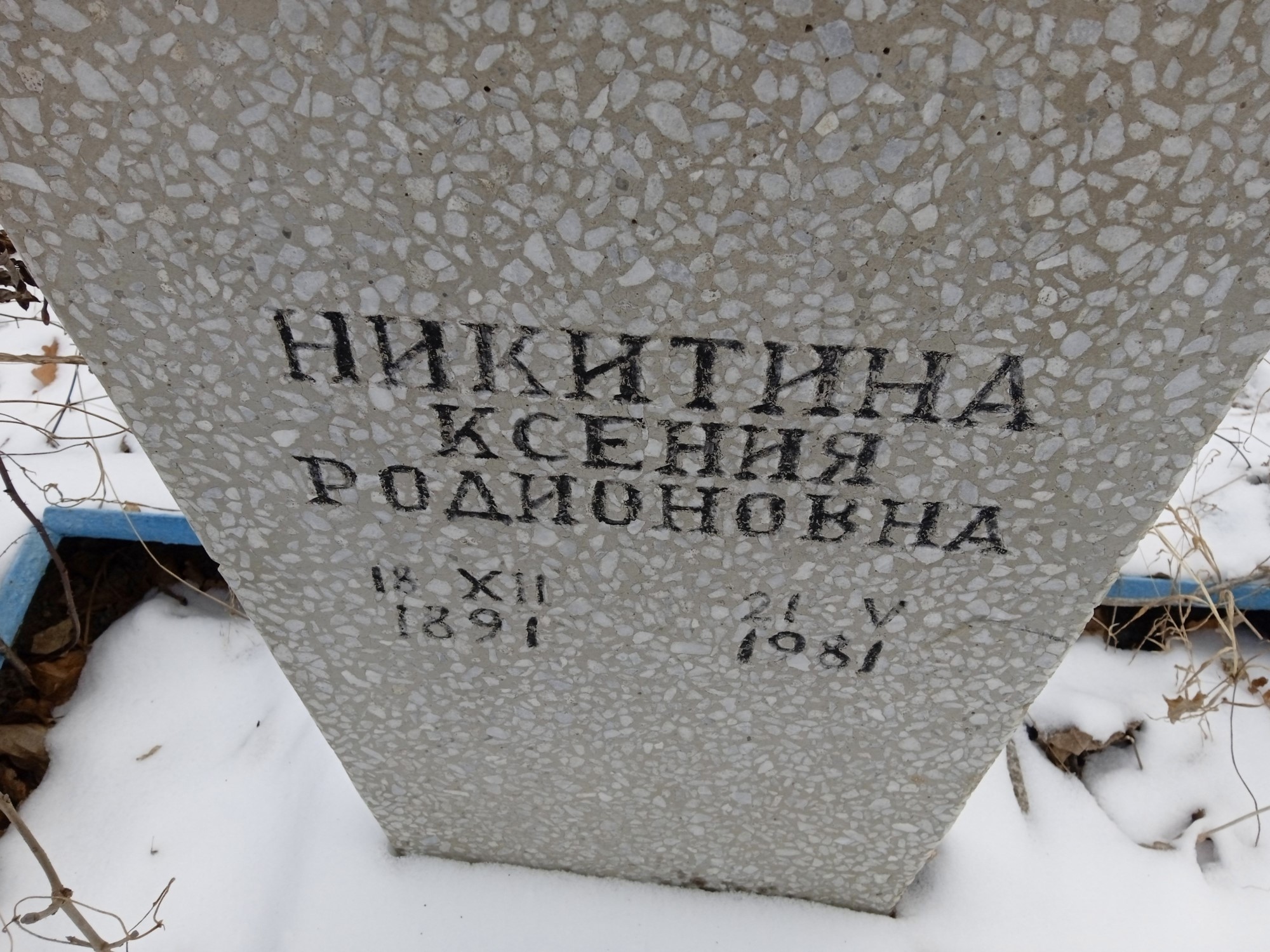 Никитина Ксения Родионовна