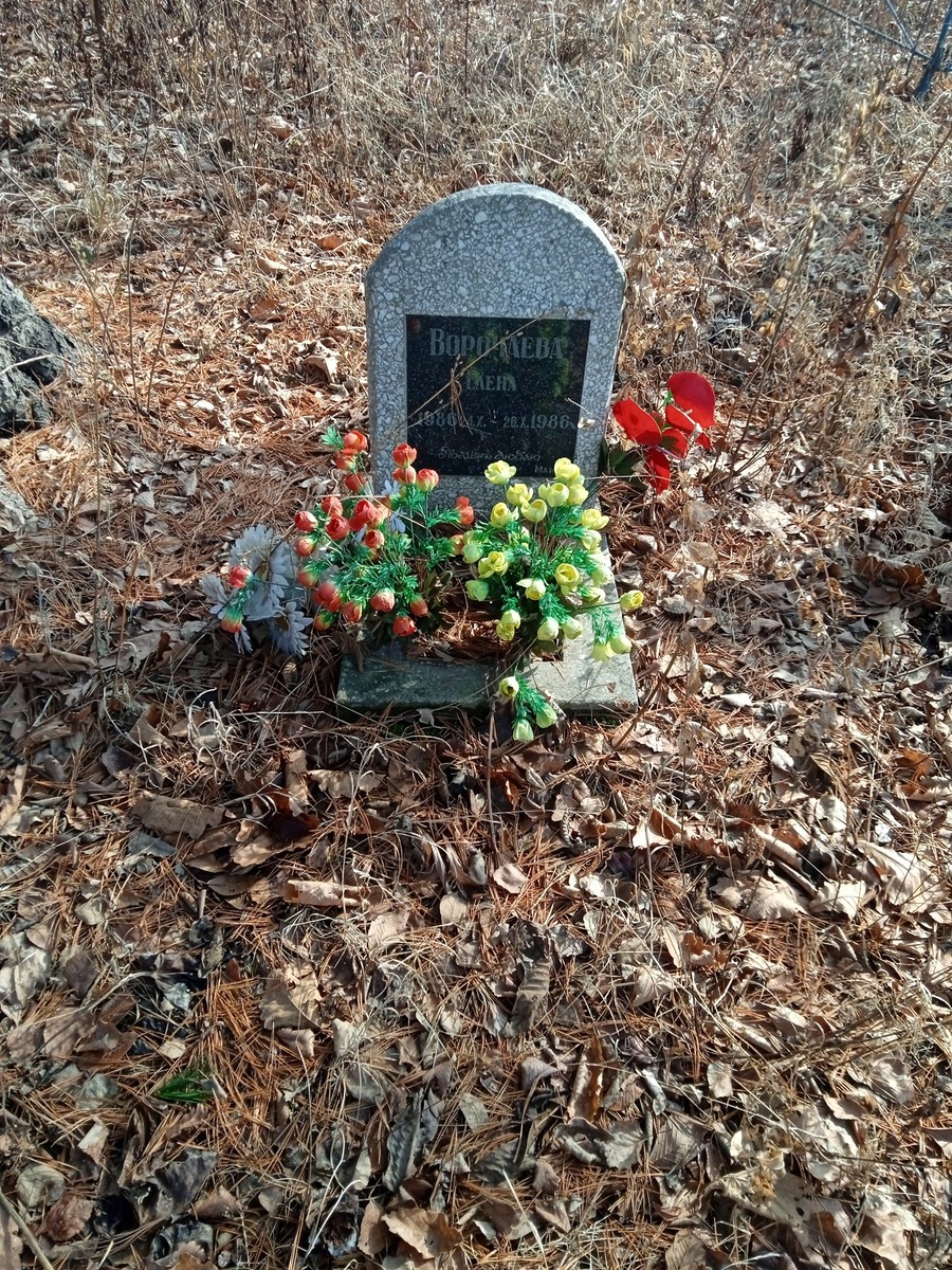 Ворочаева Елена