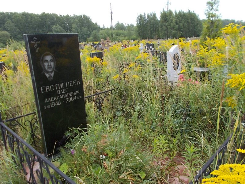 Евстигнеев Олег Александрович