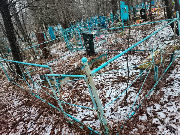 Патрушева Александра Николаевна