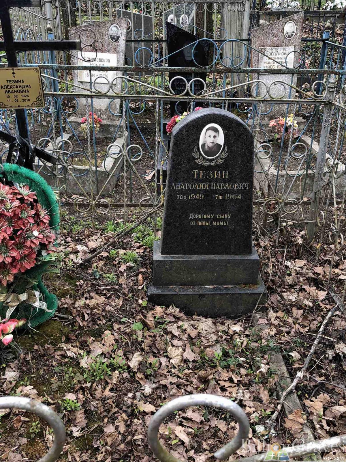 Тезин Анатолий Павлович