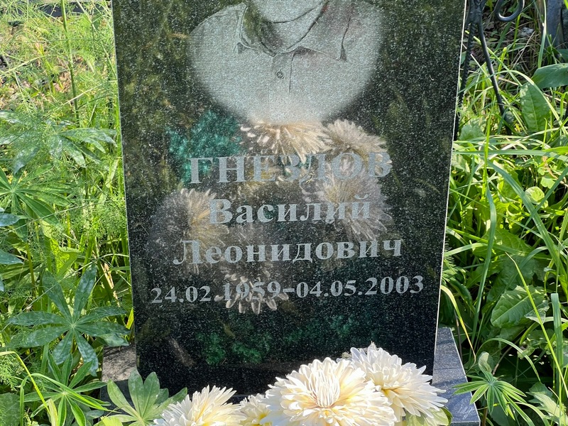 Гнездов