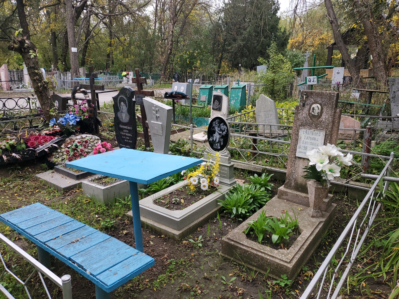 Ефименко Алла Георгиевна