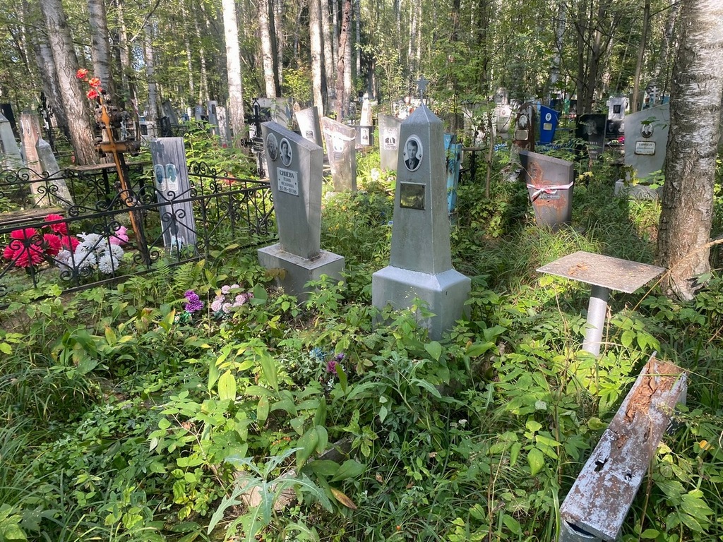 Синев Иван Иванович