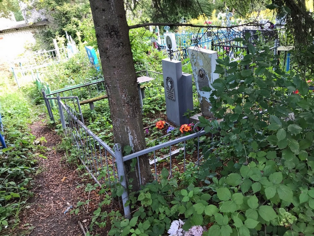 Крестенков Андрей Александрович