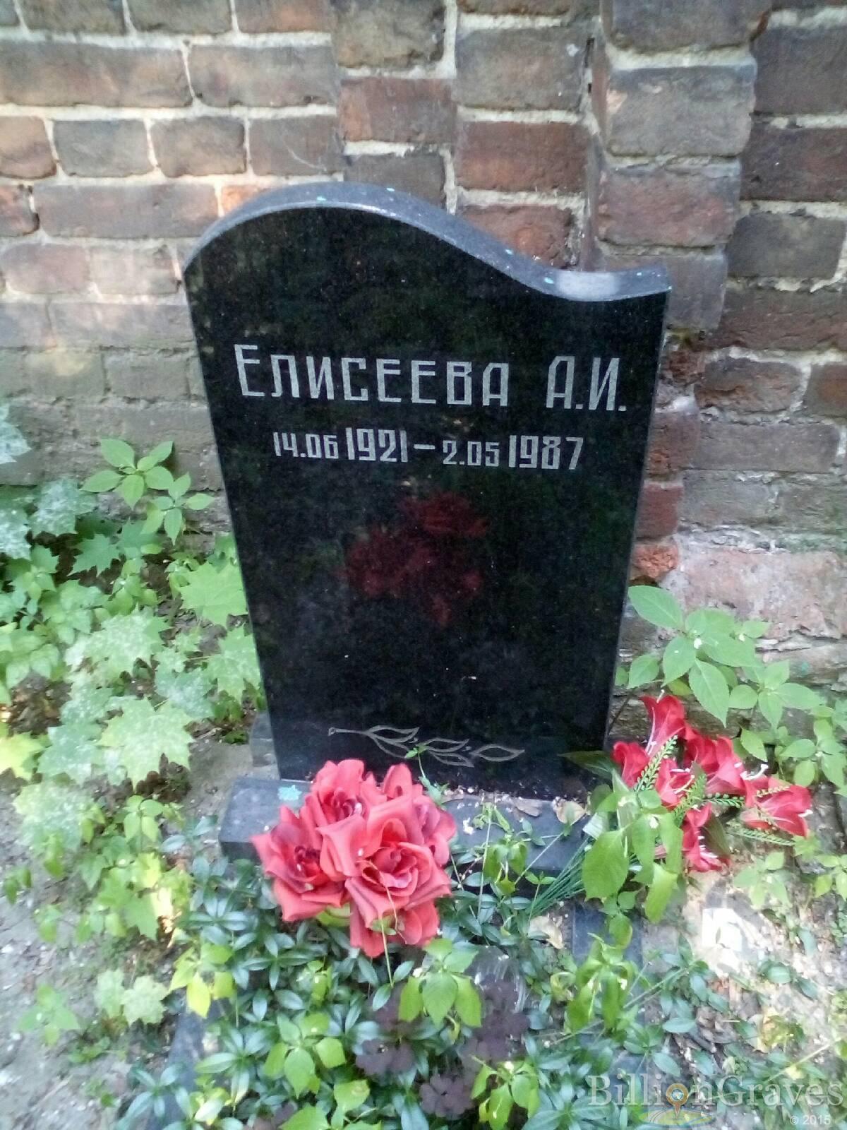 елисеева а. и.