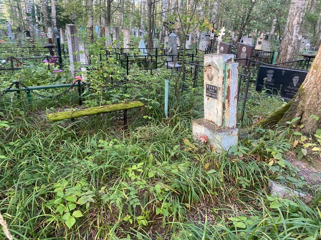 Курин Виктор Григорьевич