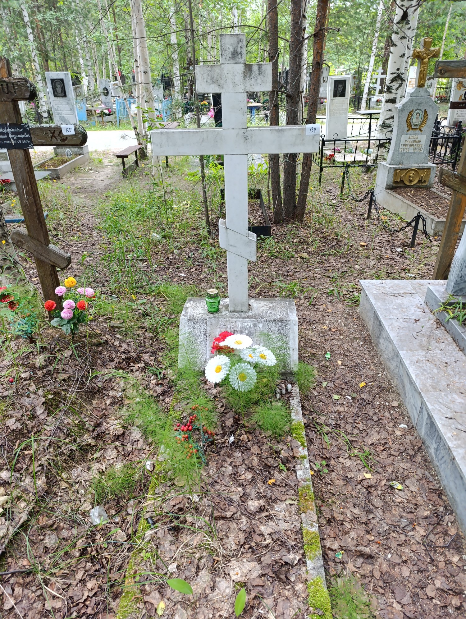 Селенкова Дарья Георгиевна
