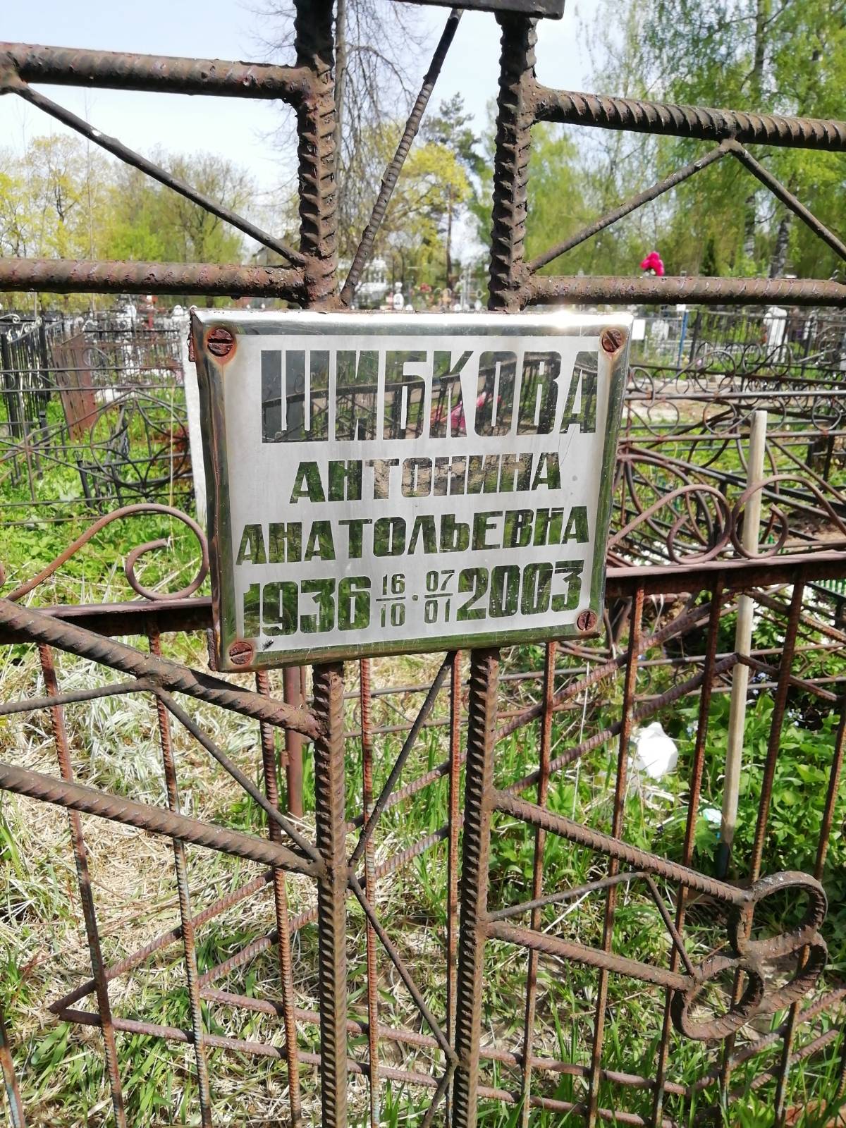 Шибкова Антонина Анатольевна