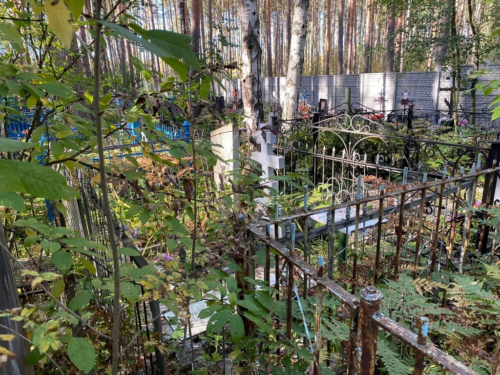 Короткова Ольга Павловна