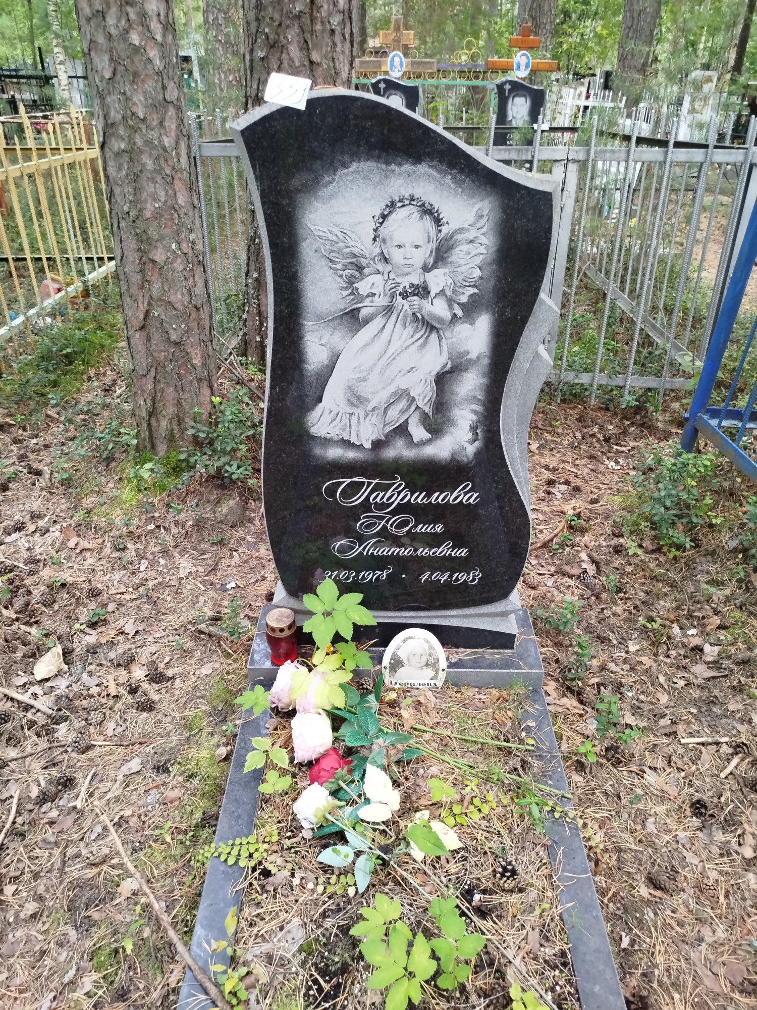 Гаврилова Юлия Анатольевна