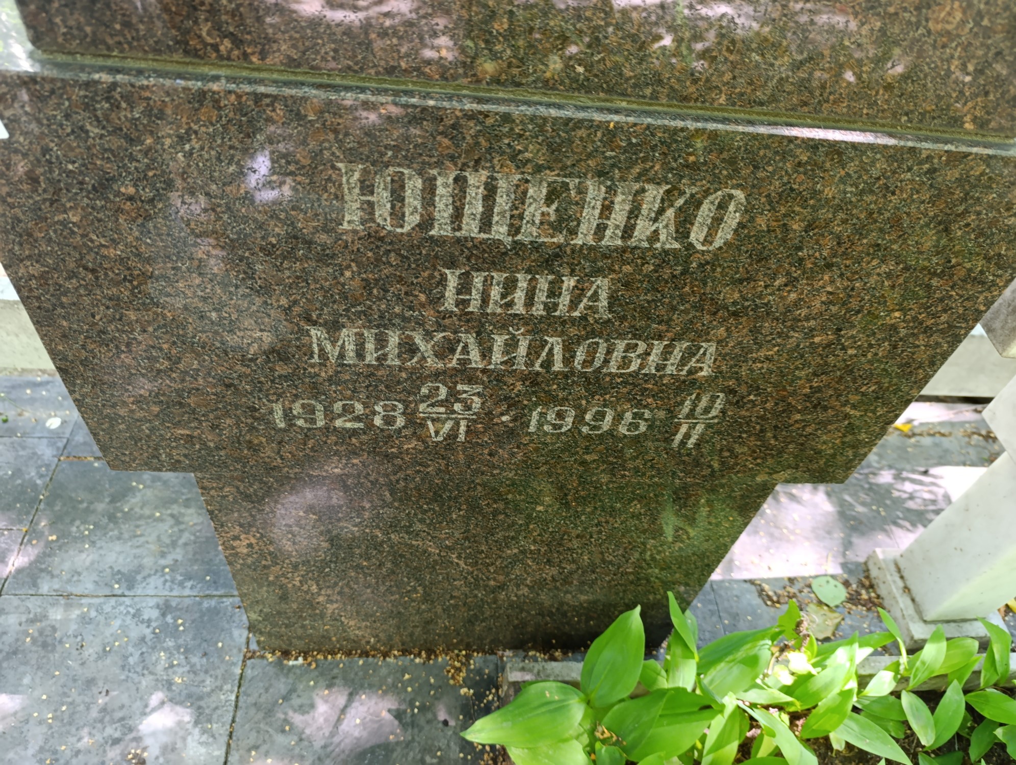 Ющенко Нина Михайловна