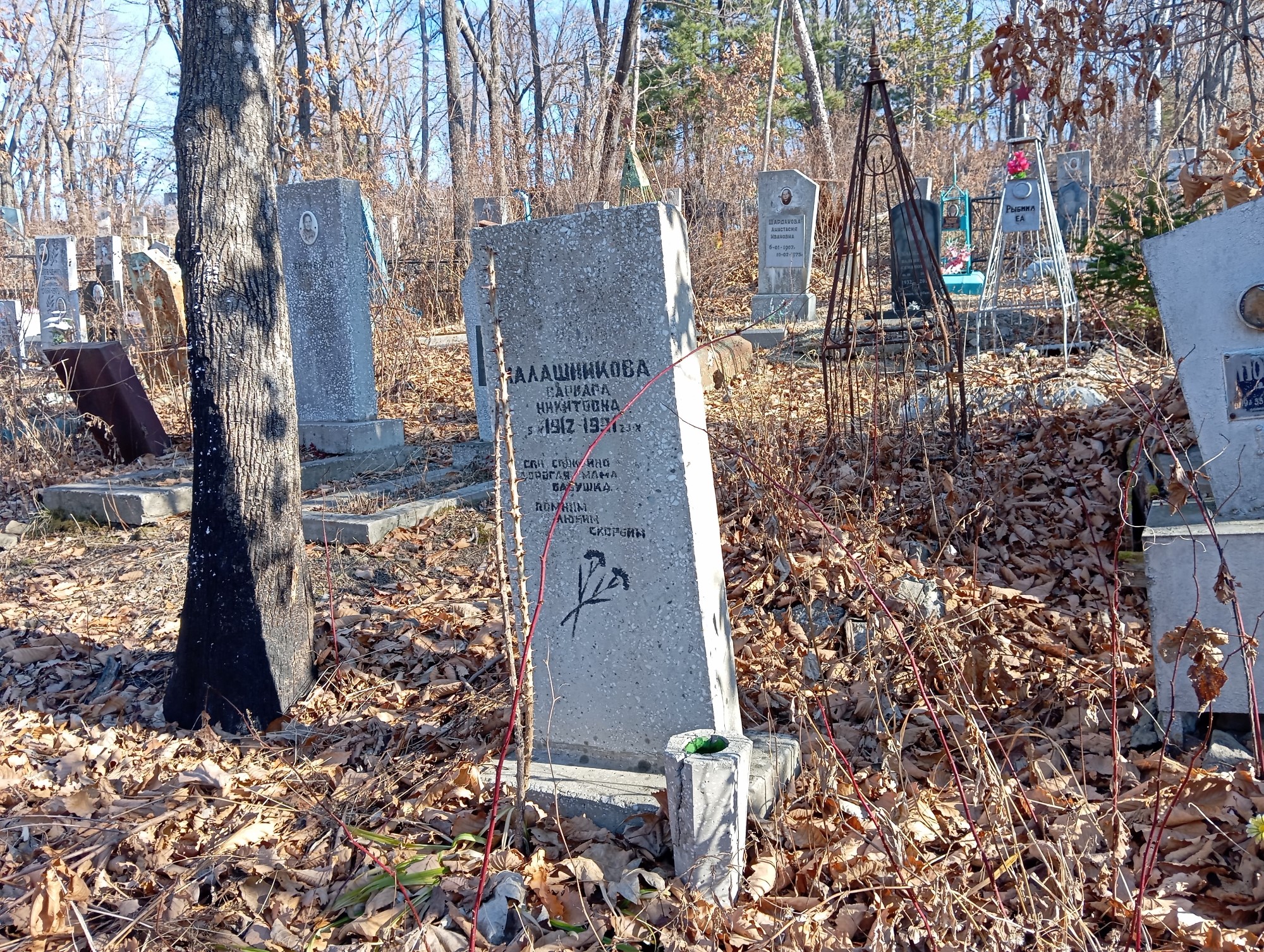 Калашникова Варвара Никитовна