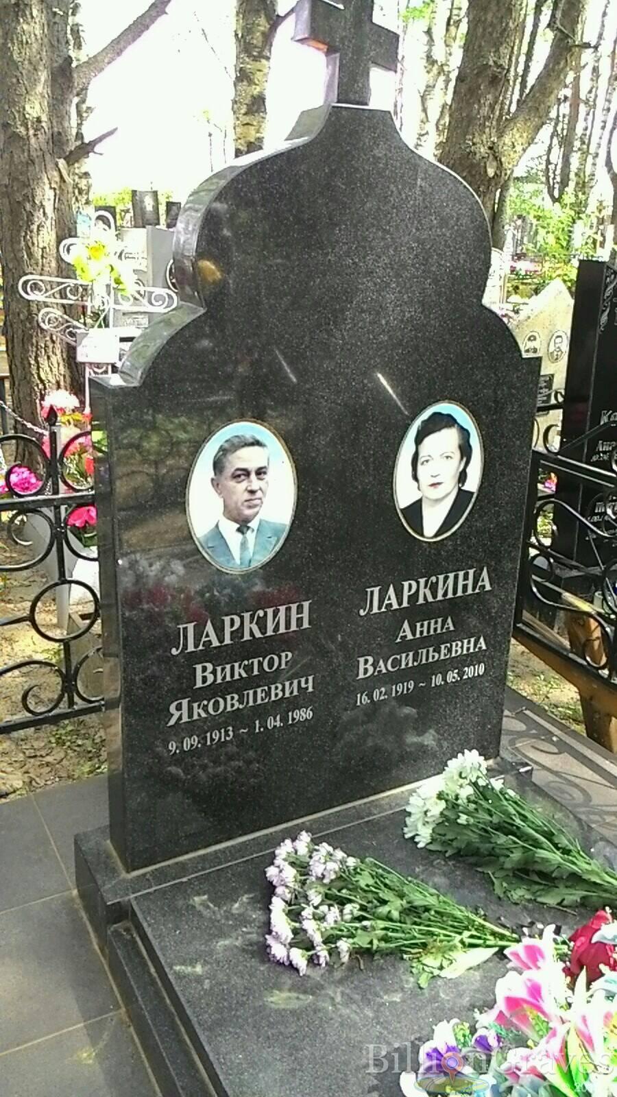 Ларкина Анна Васильевна