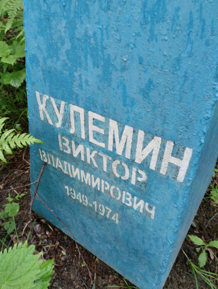 Кулемин Виктор Владимирович