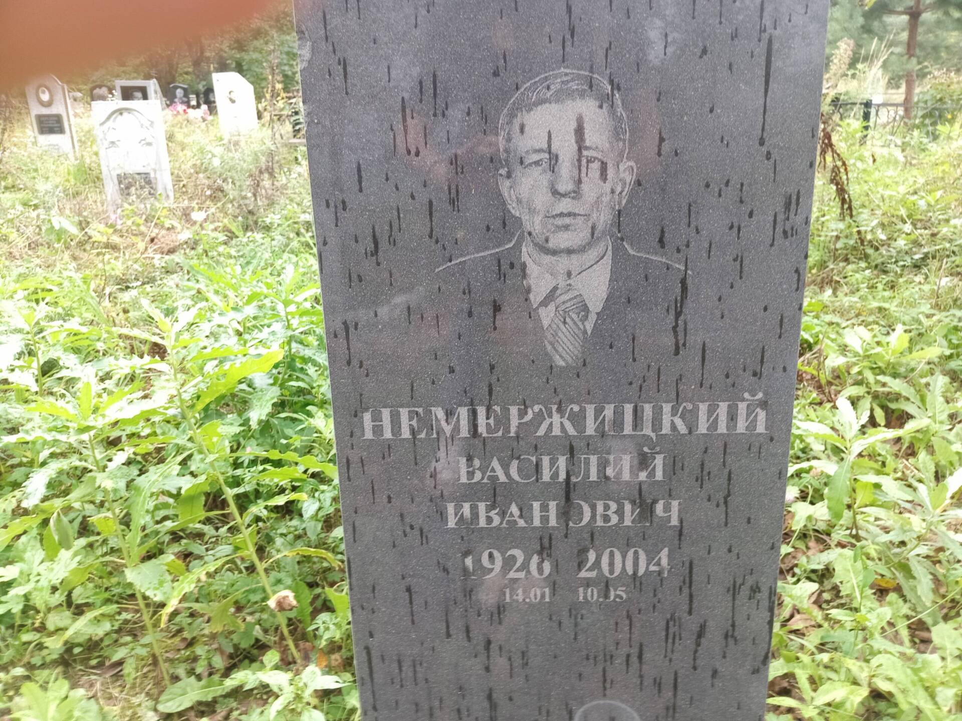 Немержицкий Василий Иванович